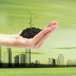 Cultura Eco friendly